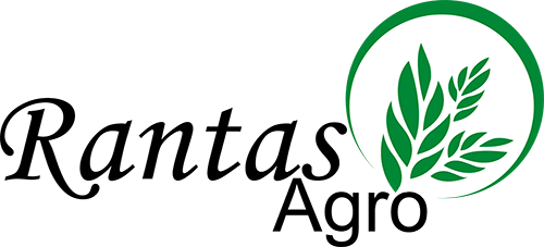Rantas Logo